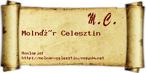 Molnár Celesztin névjegykártya