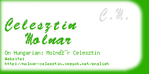 celesztin molnar business card